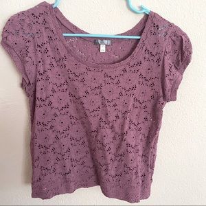 Lace Cropped Short Sleeve Blouse